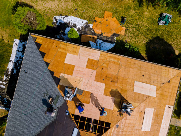 Best Roof Maintenance Services  in Black River Falls, WI
