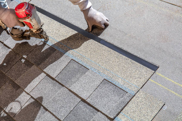 Best Roof Repair Services  in Black River Falls, WI