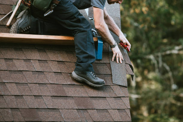 Quick and Trustworthy Emergency Roof Repair Services in Black River Falls, WI
